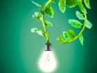 Plant-e вырабатывает электроэнергию с помощью живых растений
