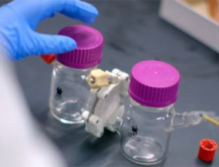 Создан высокоэффективный полупрозрачный воздушный фильтр