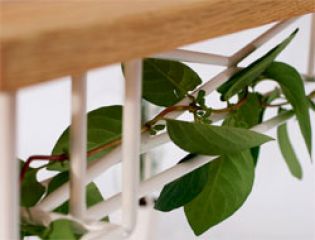 Экологичный стол Plantable