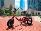 Создан электрический трицикл  Liberty Trike для пожилых людей