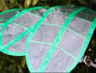 Solar Palms - 