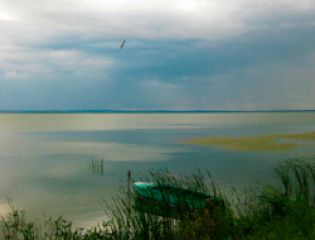  Ярославская область получит 300 млн рублей на восстановление озера Неро