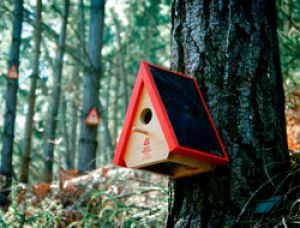 Birdhouse Alarm - противопожарная сигнализация для спасения лесов