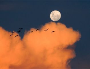 Жители Земли наблюдали редкое небесное явление 