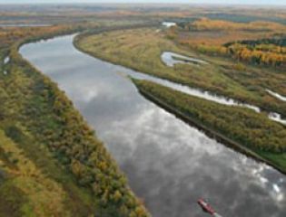 ТГУ создает международную сеть для изучения изменений экологии Сибири