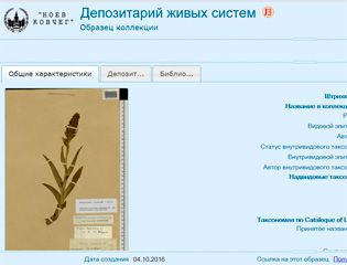 В МГУ создали один из крупнейших в мире цифровых гербариев