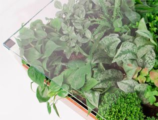 Living Table - зеленый акцент в домашнем интерьере