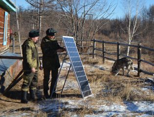 Солнечные батареи и фотоловушки установлены в Читинском заказнике