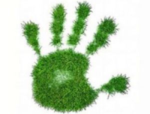 Производители и поставщики экологически чистой продукции и услуг объединились в 