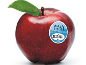 Изобретены экостикеры для фруктов и овощей 