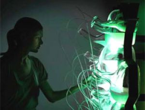 Предложен альтернативный биологический источник света