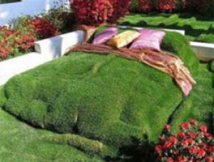 Удивительные клумбы: 