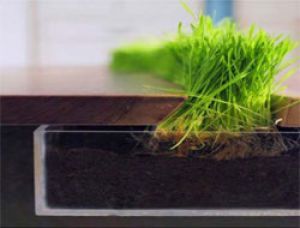 Экологичный столик 