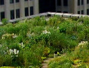 Sun-Root solar-living roof system - зелёная энергетическая система для крыш