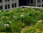 Sun-Root solar-living roof system - зелёная энергетическая система для крыш