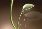 Энергоэффективный торшер Leaf Lamp, напоминающий экзотическое растение 