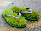 Шлёпанцы для поклонников прогулок на природе