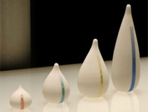 Изобретена биоразлагающаяся упаковка для продуктов