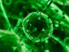 Разработан способ производства энергии с использованием безопасных вирусов