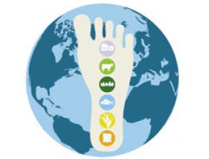 Всемирный фонд дикой природы (WWF) опубликовал доклад 
