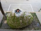 В Пекине появился весьма необычный экодом Egg House