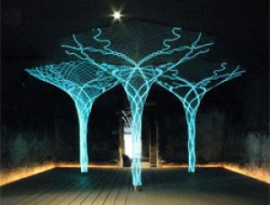 Проект SonUmbra - светящиеся деревья на улицах города