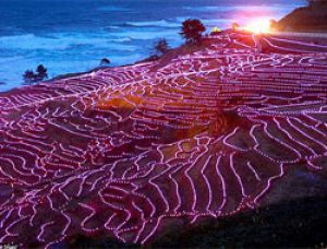 Рисовые террасы в Японии украсили светодиодами
