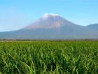 Никарагуа стремится перейти на ВИЭ к 2017 году