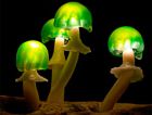 Светодиодные грибы для создания особой атмосферы