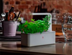 Домашний огород Smart Herb Garden без использования земли