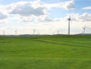 Первая в Монголии ветряная электростанция начала работу