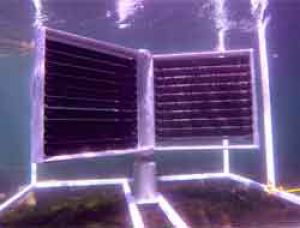 Ocean Energy Turbine поможет обуздать энергию океанов