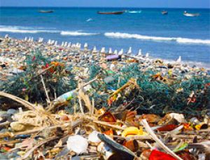 Ocean Bottle поможет решить проблему пластикового мусора в океане