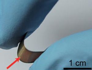 Разработана 