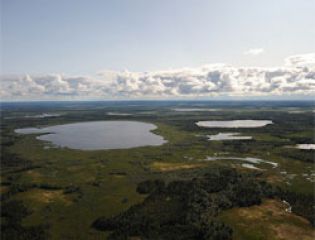 Экономика России - единственная крупная экономика с растущими биоресурсами: эксперты