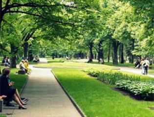 В Москве успешно реализуется проект