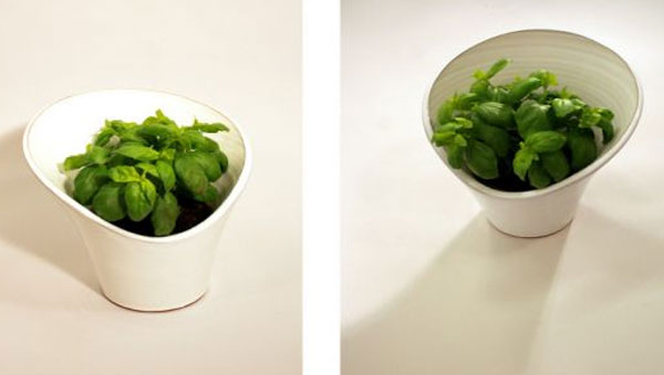  "Grey to Green" -     