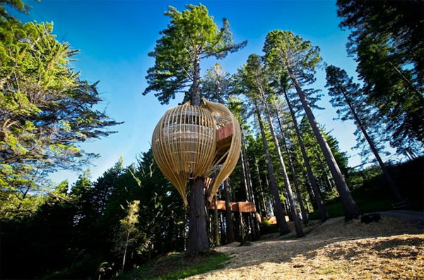   Yellow Treehouse    
